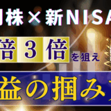 個別株で爆益のサムネ