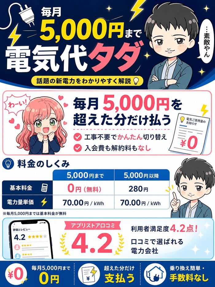 タダ電の図解