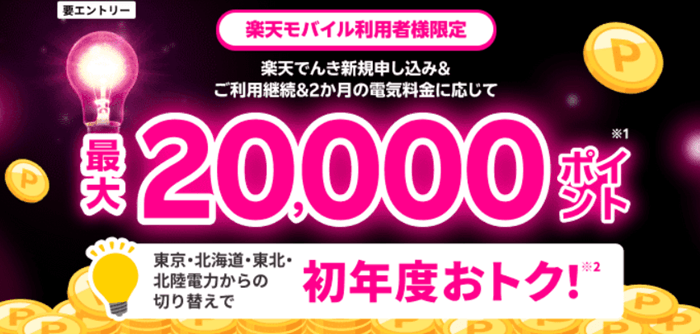 楽天でんき8月2日