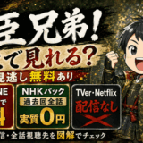 豊臣兄弟サムネ