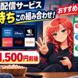 動画配信サービスの掛け持ちはこの組み合わせサムネ