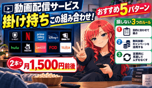 動画配信サービスの掛け持ちはこの組み合わせサムネ
