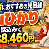 高齢者におすすめの光回線はauひかり|固定電話込みで2年88,460円