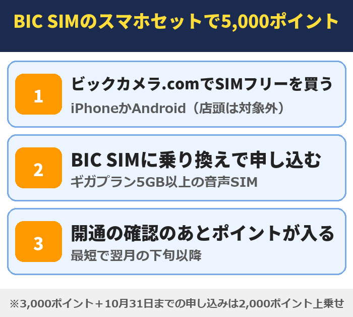 BIC SIMのスマホセットで5,000ポイントまでの流れ