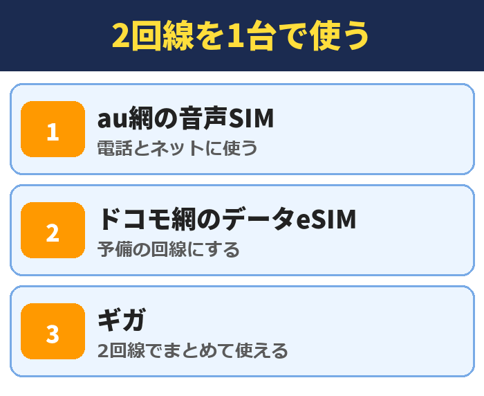 IIJmio|2回線を1台で使う(au網の音声SIM・ドコモ網のデータeSIM・ギガ)