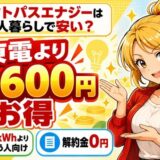 オクトパスエナジーは一人暮らしで安い?東電より年1,600円お得