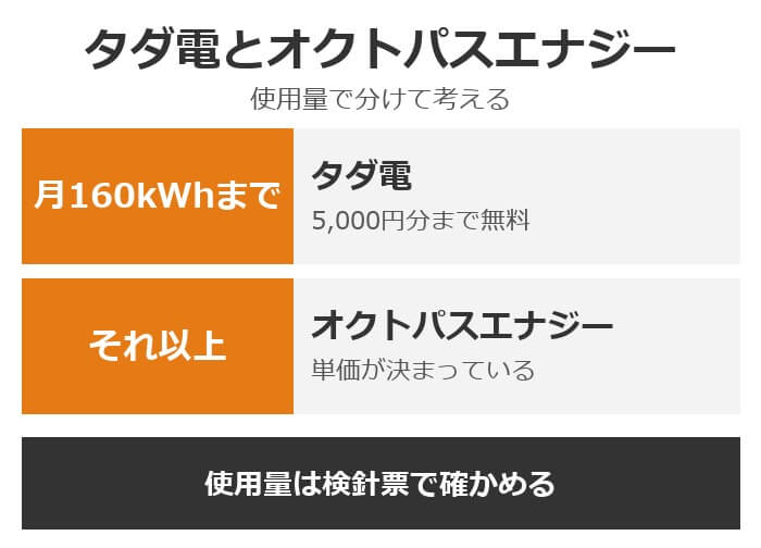 タダ電とオクトパスエナジーの分かれ目