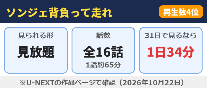 ソンジェ背負って走れはU-NEXTで見放題、全16話（1話約65分）、31日で見るなら1日34分