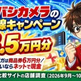 ヨドバシカメラの光回線キャンペーンは最大8.5万円分。ドコモ光10ギガは商品券6万円分、買い物しないならネットで現金