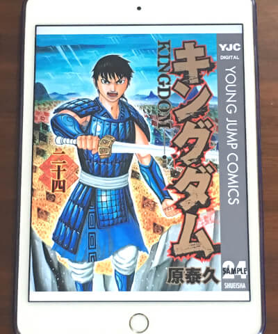 戦術 戦略 一騎打ちなど全てコミコミの中国歴史漫画 キングダム 戦術 戦略 一騎打ちなど全てコミコミの中国歴史漫画 キングダム